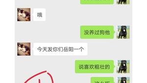微信小号购买16：探索别样社交，开启独特沟通之旅